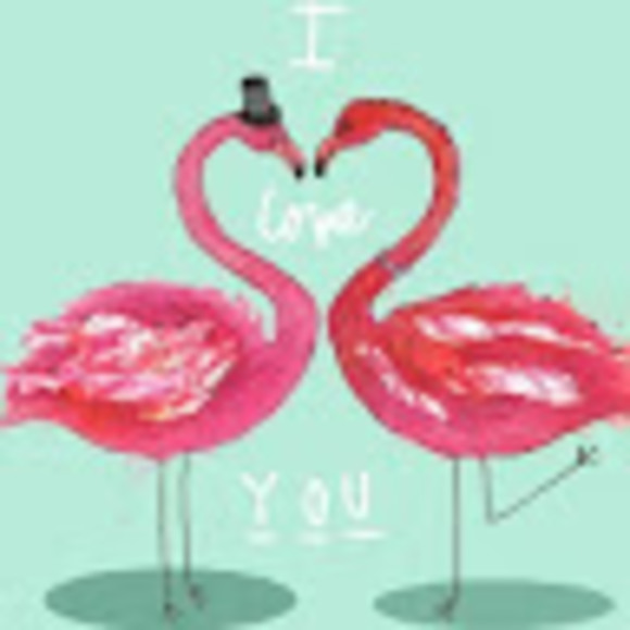 flamingofamily